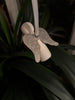 Christmas Angel Ornament